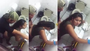 Desi couple caught on camera during steamy toilet sex
