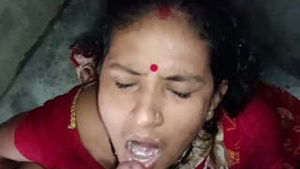 Desi bhabhi gets pounded hard in homemade video