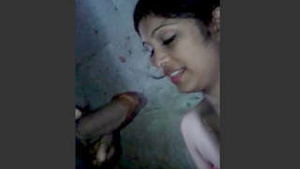 Desi babe gives a blowjob in the bathroom for her lover to enjoy in HD