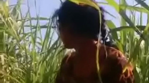 Bihari girl's wild sex in the field