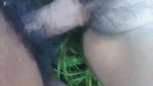 Outdoor sex with a teenage girl who loves to get fucked