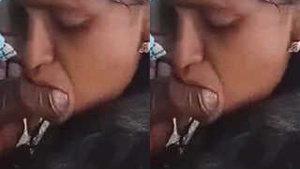 Indian amateur couple enjoys open-air sex and blowjob in HD video