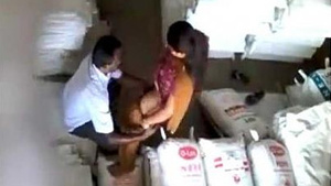 Bhabhi and coworker's steamy office affair leads to pussy licking and fucking