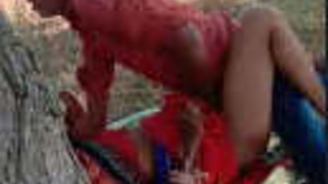 Randy's outdoor fucking in HD pay-per-view video